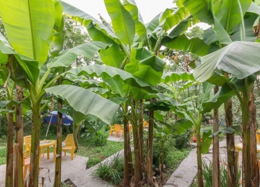 Гостевой дом "Костилья" представляет собой уютное заведение, расположенное в живописном поселке Лоо
